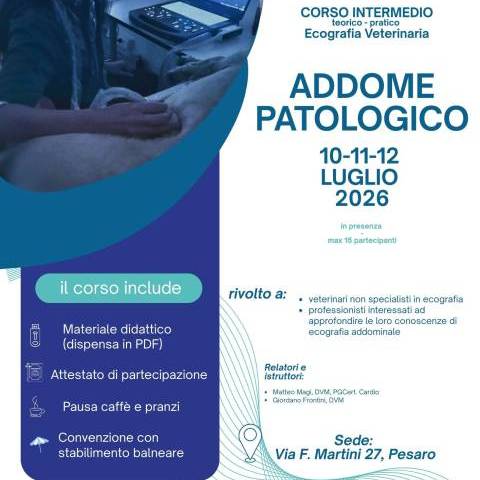 Corso Intermedio di Ecografia Addominale Veterinaria – Addome Patologico nel Cane e nel Gatto - Luglio 2026